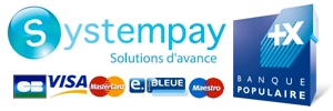 Cyberplus paiement